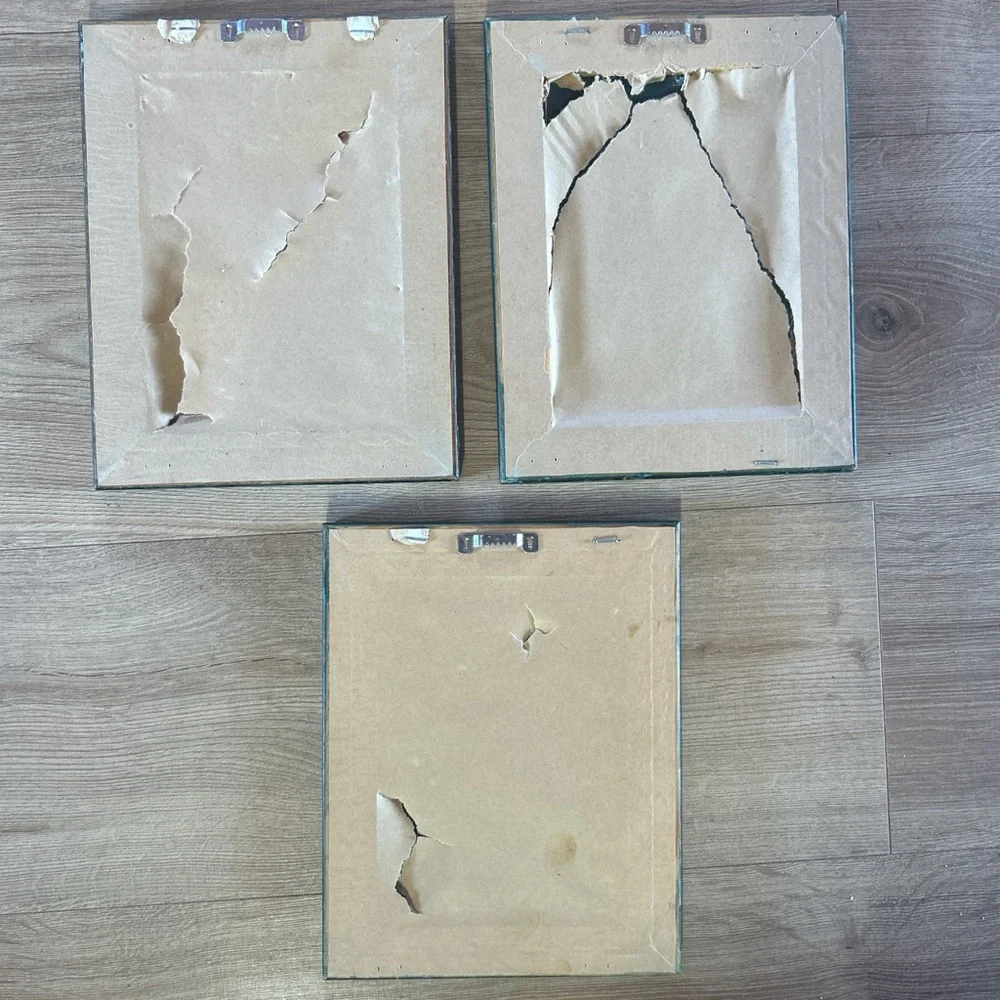 Unbranded Set of 3 Black Framed Herb Prints (Basil, Thyme,‎ Oregano)